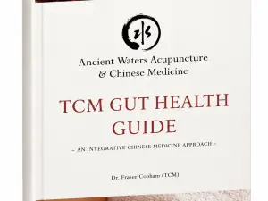 TCM Gut Health Guide Ebook cover